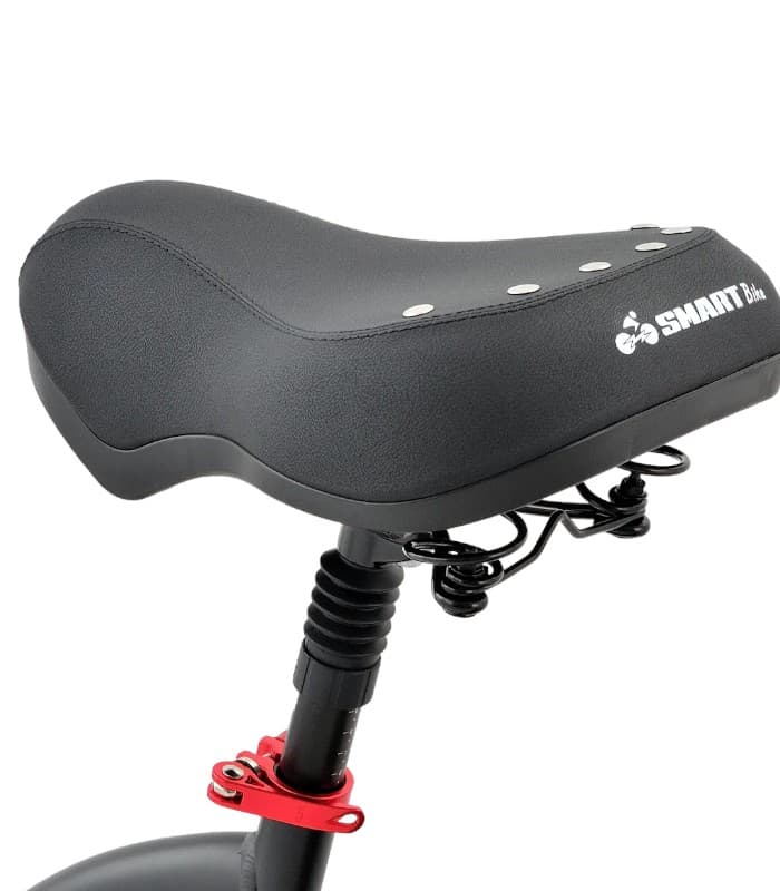 אופניים חשמליים SMART BIKE BIG Foot Hybrid PLUS 48V עם שיכוך מלא