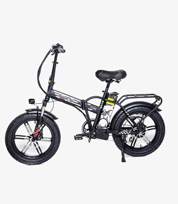 Big Dog EXTREME 48V 15.9Ah Greenbike