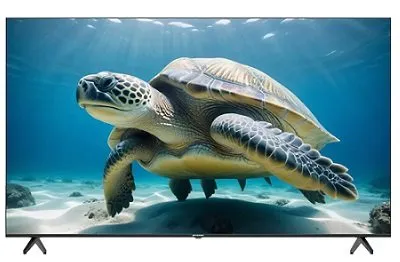 טלוויזיה LED 75 אינץ' 4K פרוסוניק U75UHD22 - חכמה ועוצמתית
