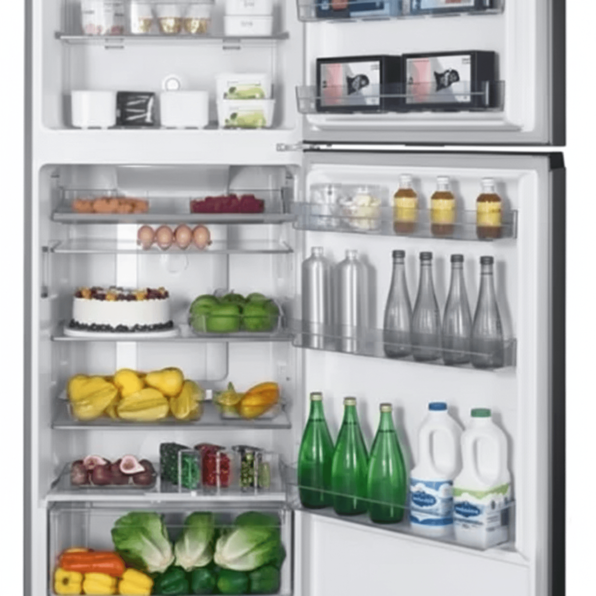 מקרר תדיראן TADR 416SS פתוח לרווחה - תצוגת חלוקה פנימית, מדפי זכוכית ומגירות